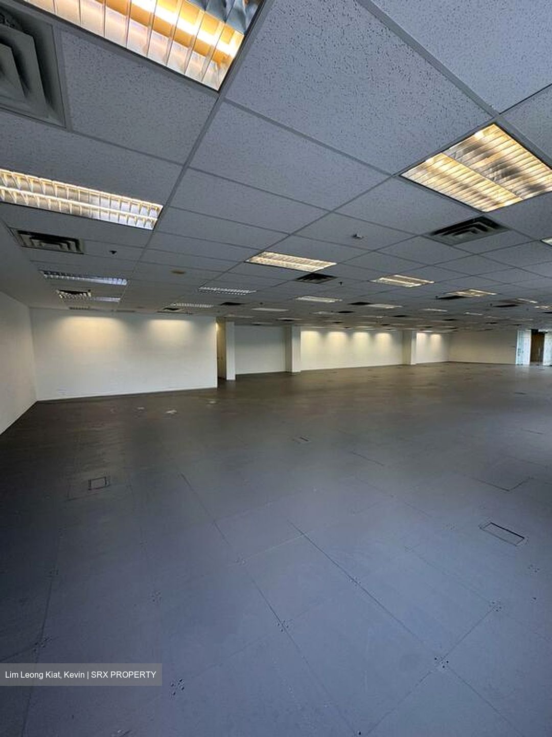 Haw Par Centre (D9), Office #496016731